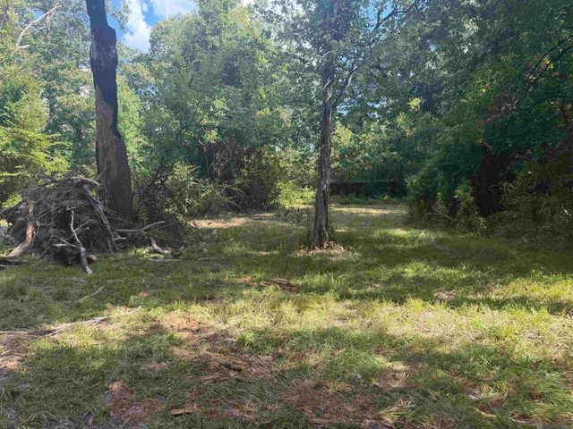 12050 Mockingbird Ln, Walker, LA 70785