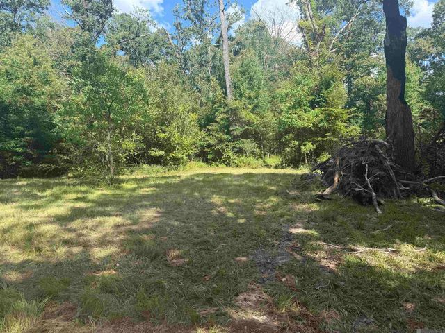 12050 Mockingbird Ln, Walker, LA 70785