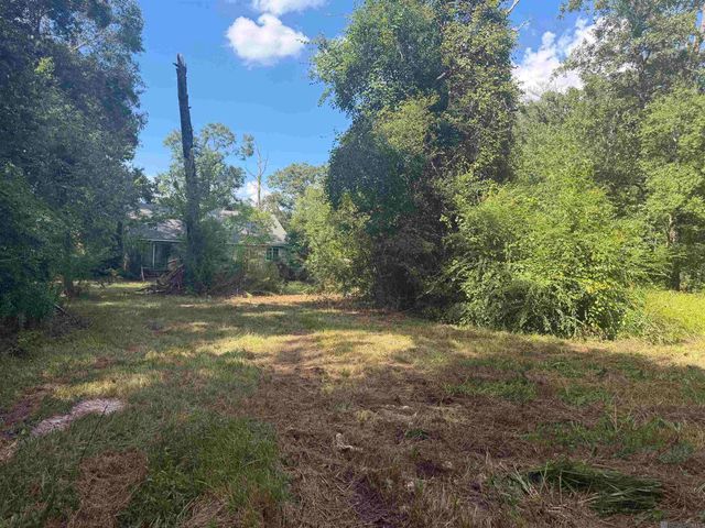 12050 Mockingbird Ln, Walker, LA 70785
