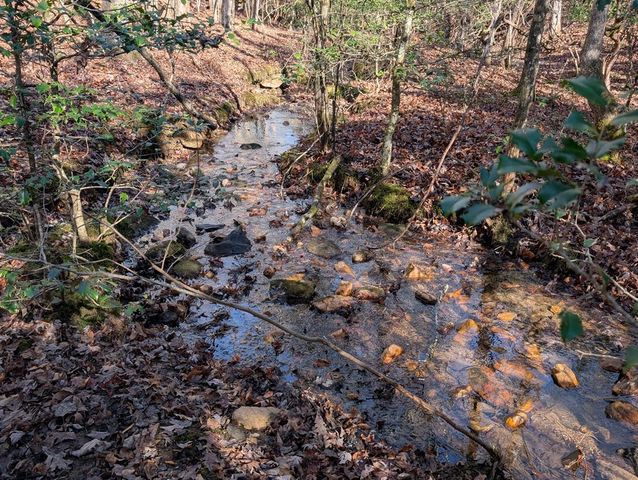 230 Pine Forest Loop, Blue Ridge, GA 30513