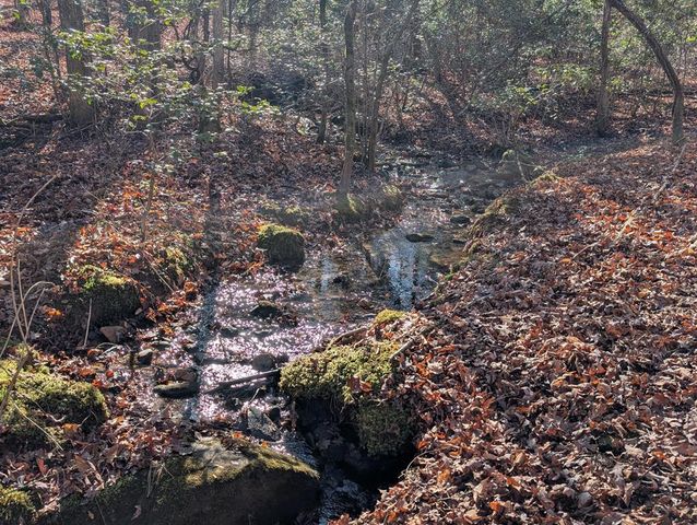 230 Pine Forest Loop, Blue Ridge, GA 30513