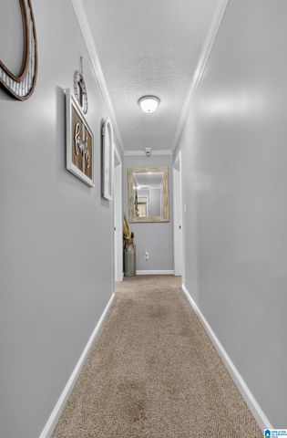 518 COVES POINT DRIVE, Riverside, AL 35135