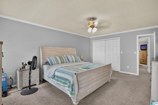 518 COVES POINT DRIVE, Riverside, AL 35135