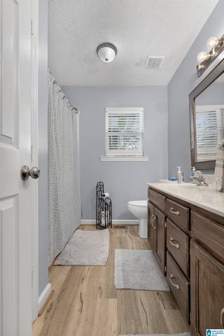 518 COVES POINT DRIVE, Riverside, AL 35135