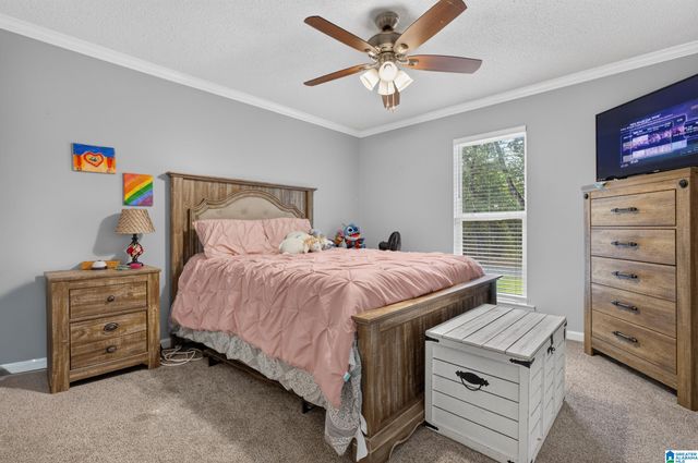 518 COVES POINT DRIVE, Riverside, AL 35135