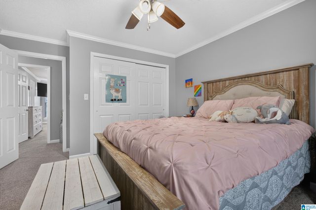 518 COVES POINT DRIVE, Riverside, AL 35135