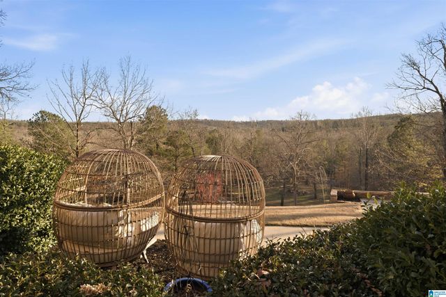 799 HIDDEN RIDGE, Chelsea, AL 35043