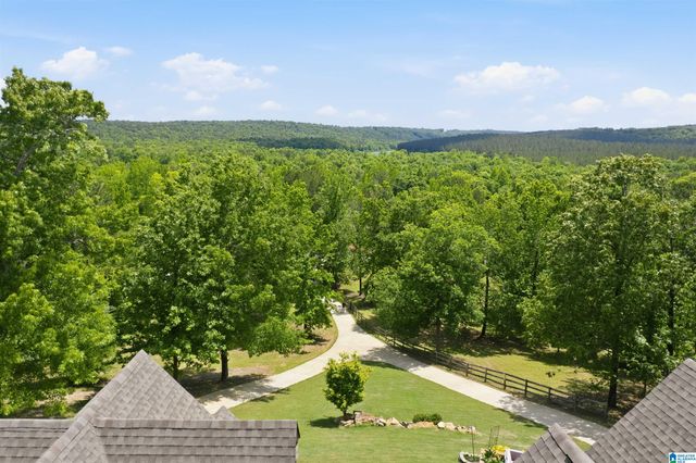 799 HIDDEN RIDGE, Chelsea, AL 35043