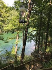 3109 County Road 148, Eureka Springs, AR 72632