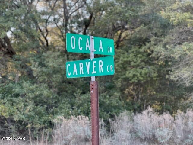 0 Carver Circle, Alford, FL 32420