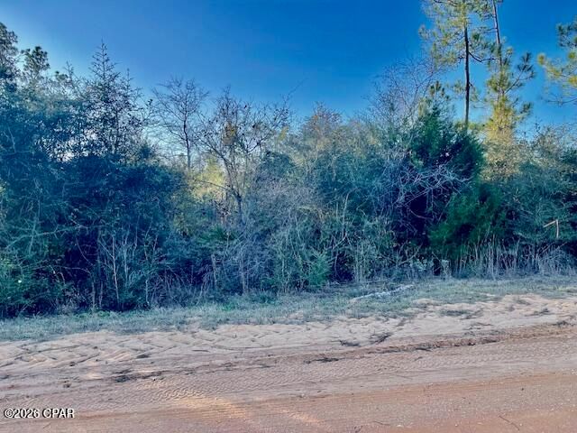 0 Carver Circle, Alford, FL 32420