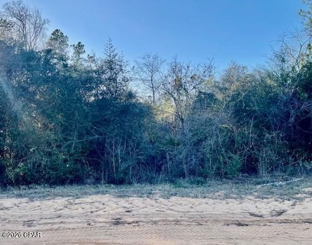 0 Carver Circle, Alford, FL 32420