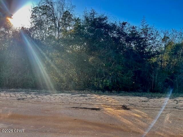 0 Carver Circle, Alford, FL 32420