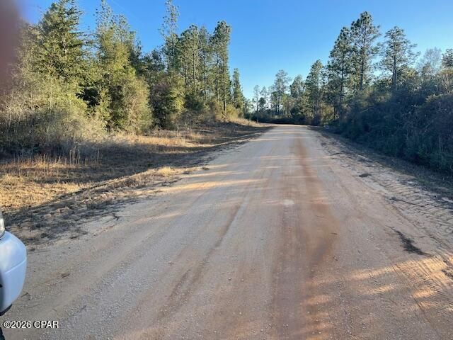 0 Carver Circle, Alford, FL 32420