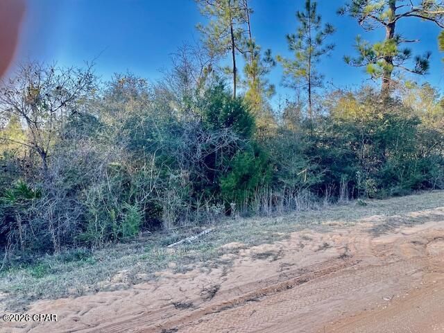 0 Carver Circle, Alford, FL 32420