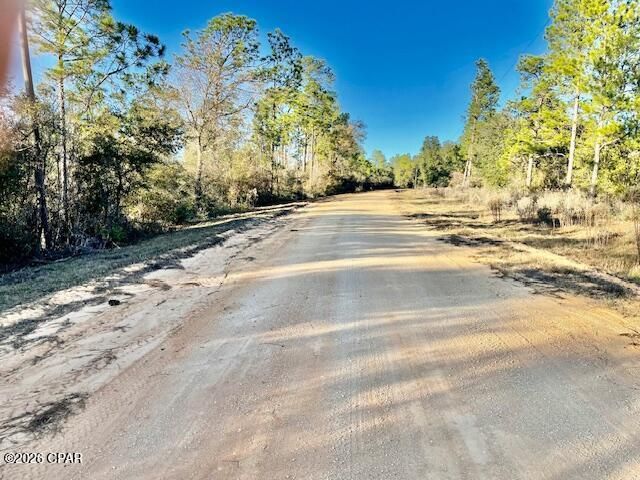 0 Carver Circle, Alford, FL 32420