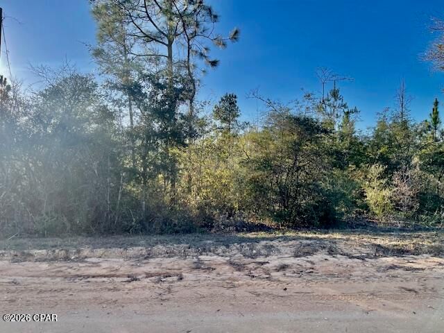 0 Carver Circle, Alford, FL 32420