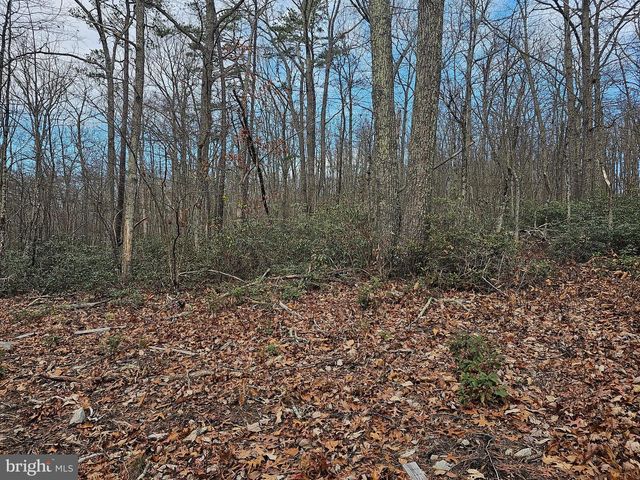 Lot 3 BROWN BEAR TRAIL, Bloomery, WV 26817