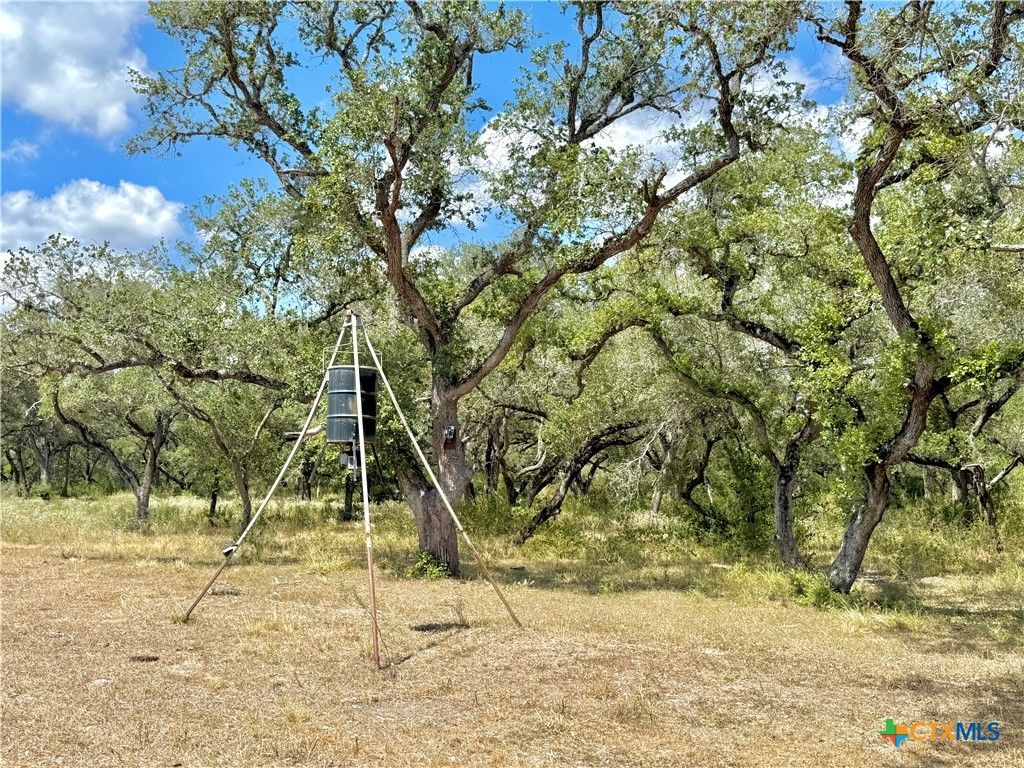 Image 21 of property listing at 4668 Old Hwy Rd, Inez, TX 77968