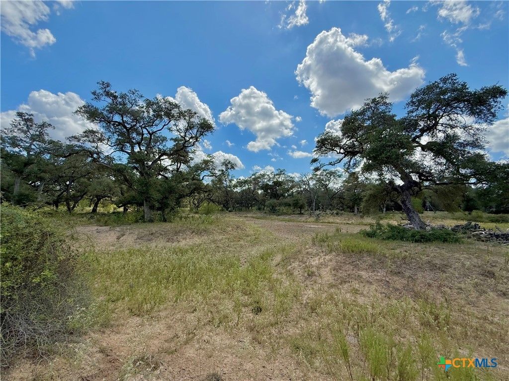 Image 9 of property listing at 4668 Old Hwy Rd, Inez, TX 77968