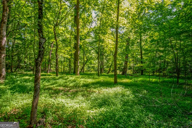 2720 Doster Road, Madison, GA 30650
