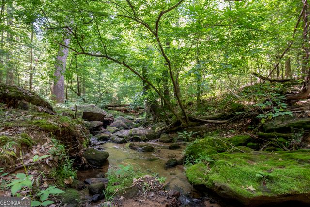 2720 Doster Road, Madison, GA 30650