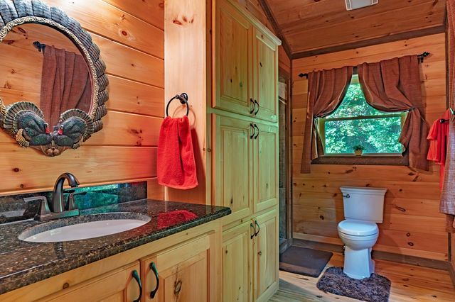 4527 Gates Chapel Road, Ellijay, GA 30540