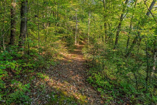 4527 Gates Chapel Road, Ellijay, GA 30540