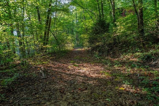 4527 Gates Chapel Road, Ellijay, GA 30540