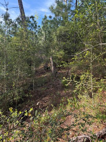 Lot 1384 Pahihi DR, Bastrop, TX 78602