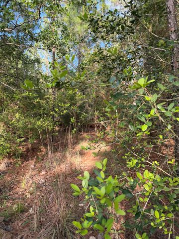 Lot 1384 Pahihi DR, Bastrop, TX 78602