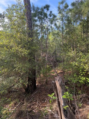 Lot 1384 Pahihi DR, Bastrop, TX 78602