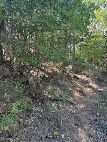Lot 1384 Pahihi DR, Bastrop, TX 78602