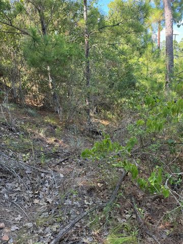 Lot 1384 Pahihi DR, Bastrop, TX 78602