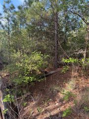 Lot 1384 Pahihi DR, Bastrop, TX 78602