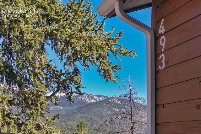 493 Horseshoe Drive, Divide, CO 80814