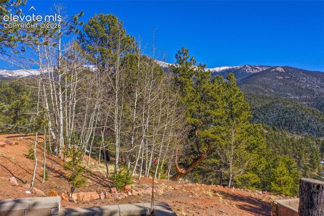 493 Horseshoe Drive, Divide, CO 80814