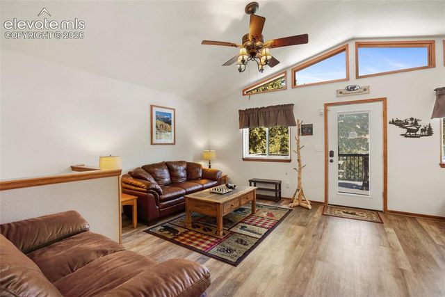493 Horseshoe Drive, Divide, CO 80814