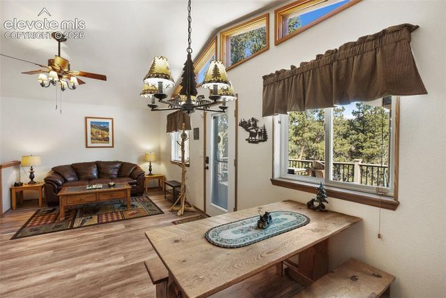 493 Horseshoe Drive, Divide, CO 80814