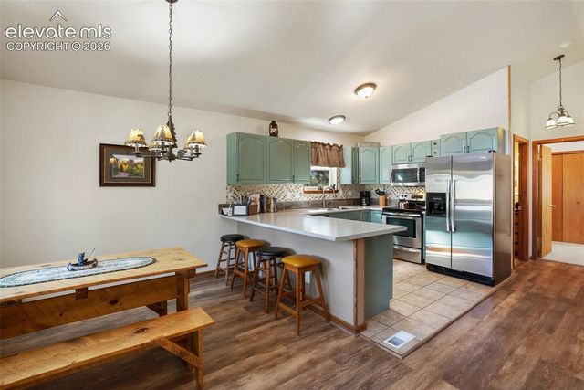 493 Horseshoe Drive, Divide, CO 80814