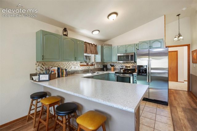 493 Horseshoe Drive, Divide, CO 80814