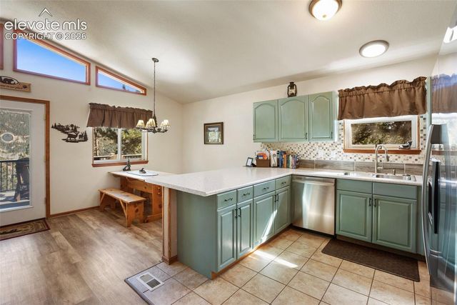 493 Horseshoe Drive, Divide, CO 80814