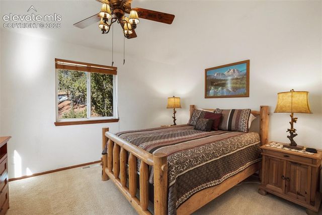 493 Horseshoe Drive, Divide, CO 80814