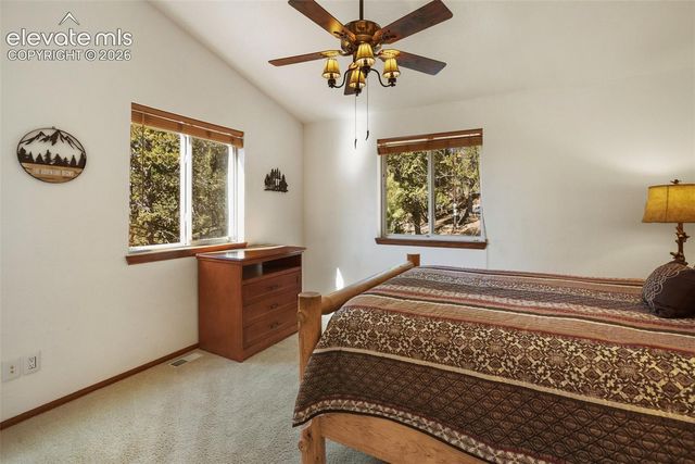 493 Horseshoe Drive, Divide, CO 80814