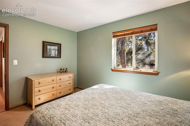 493 Horseshoe Drive, Divide, CO 80814