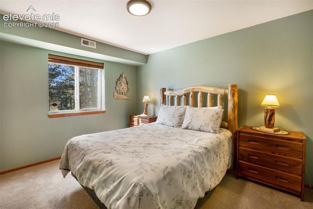 493 Horseshoe Drive, Divide, CO 80814