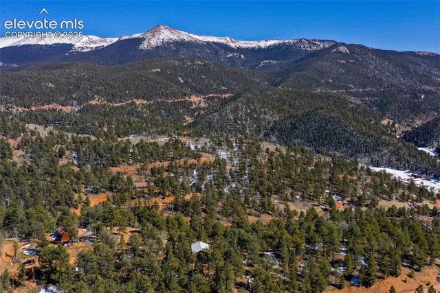 493 Horseshoe Drive, Divide, CO 80814