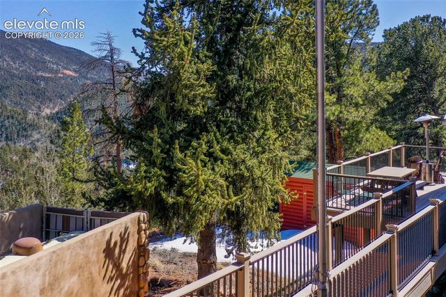 493 Horseshoe Drive, Divide, CO 80814
