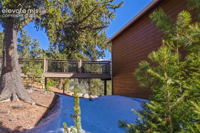 493 Horseshoe Drive, Divide, CO 80814