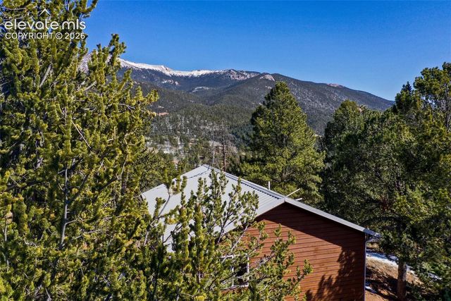 493 Horseshoe Drive, Divide, CO 80814